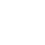 Icon 21